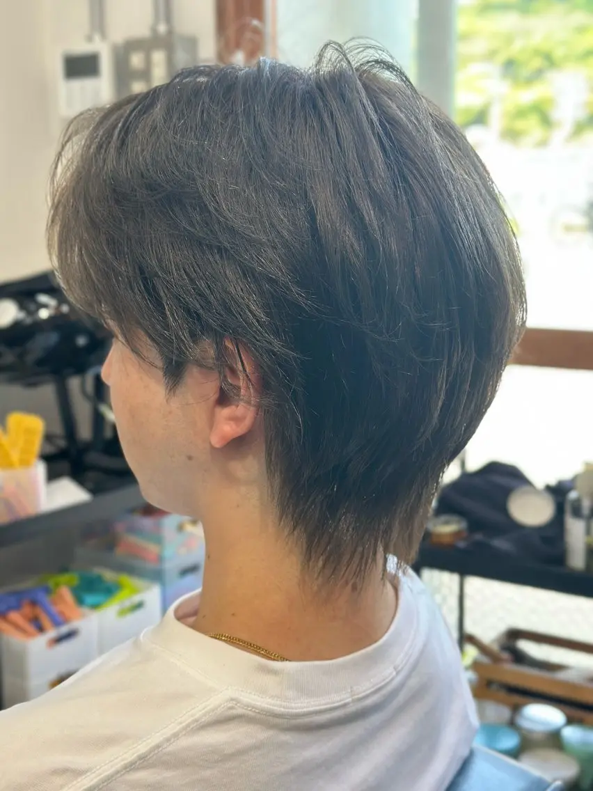 ショート カラー メンズ マッシュウルフ マッシュ メンズウルフカット アッシュ アッシュグレー ヘアカラー Snalyメンズ特化 スエハラのヘアスタイル