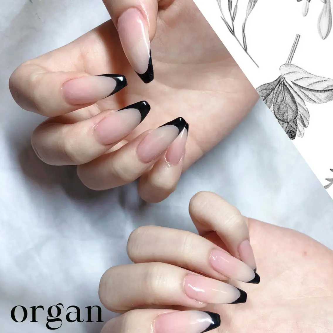 ネイル フレンチネイル 【ＯＲＧＡＮ】 nailのネイルデザイン