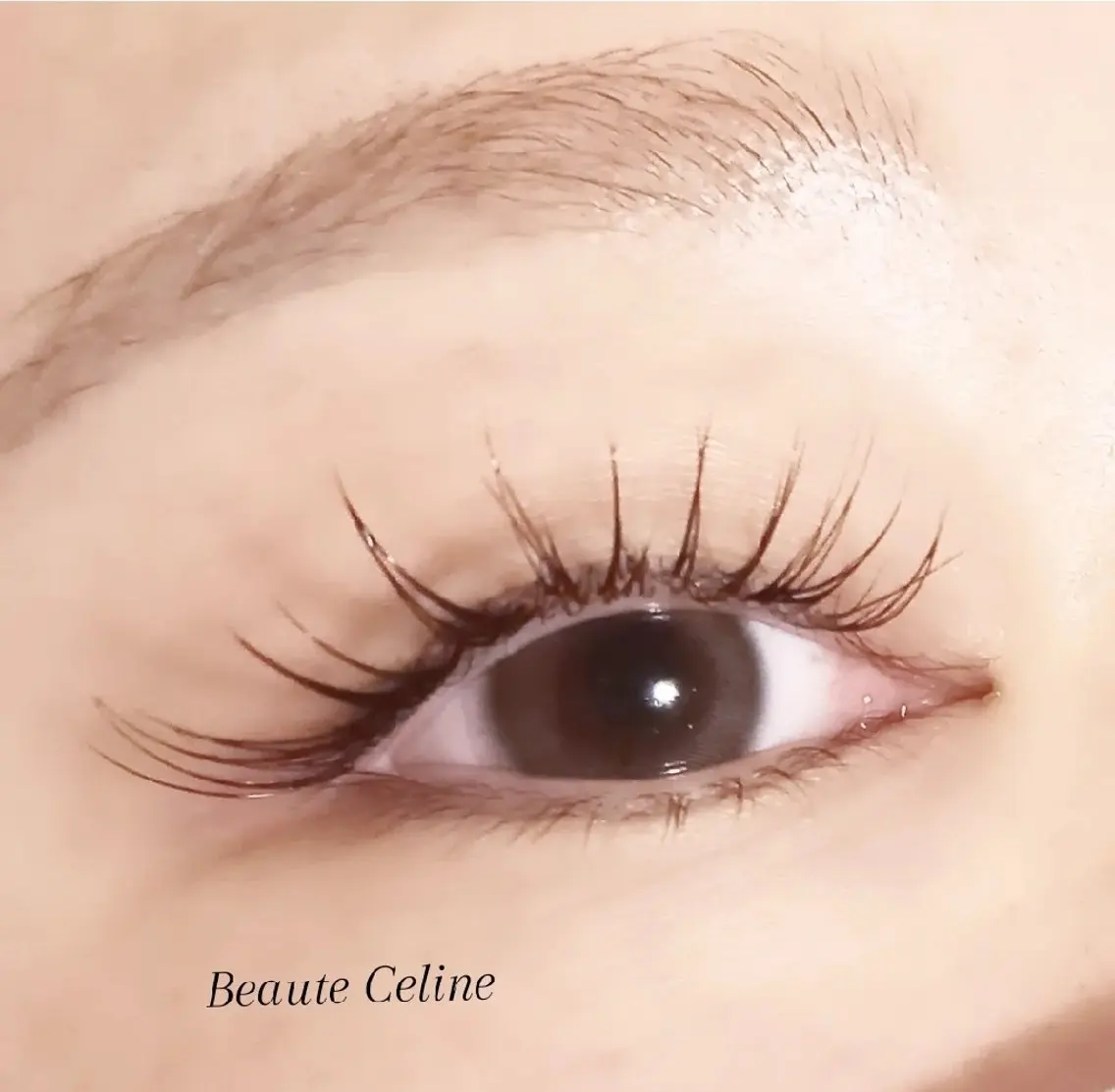 マツエク・マツパ 束感まつ毛 マツエク LED✨beaute Celine🌛🌹のマツエク・マツパデザイン