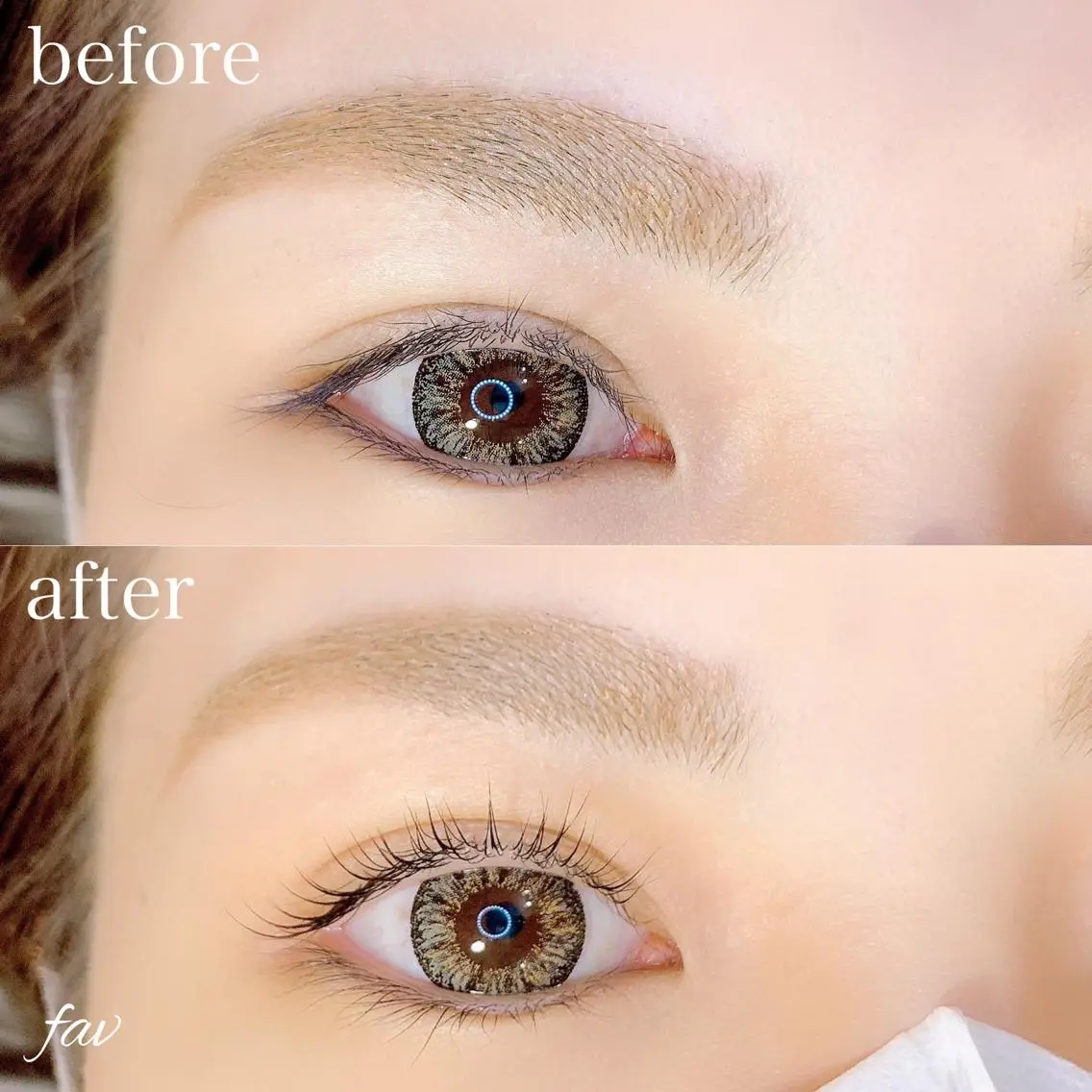 マツエク・マツパ まつげパーマ EYELASH FAVのマツエク・マツパデザイン