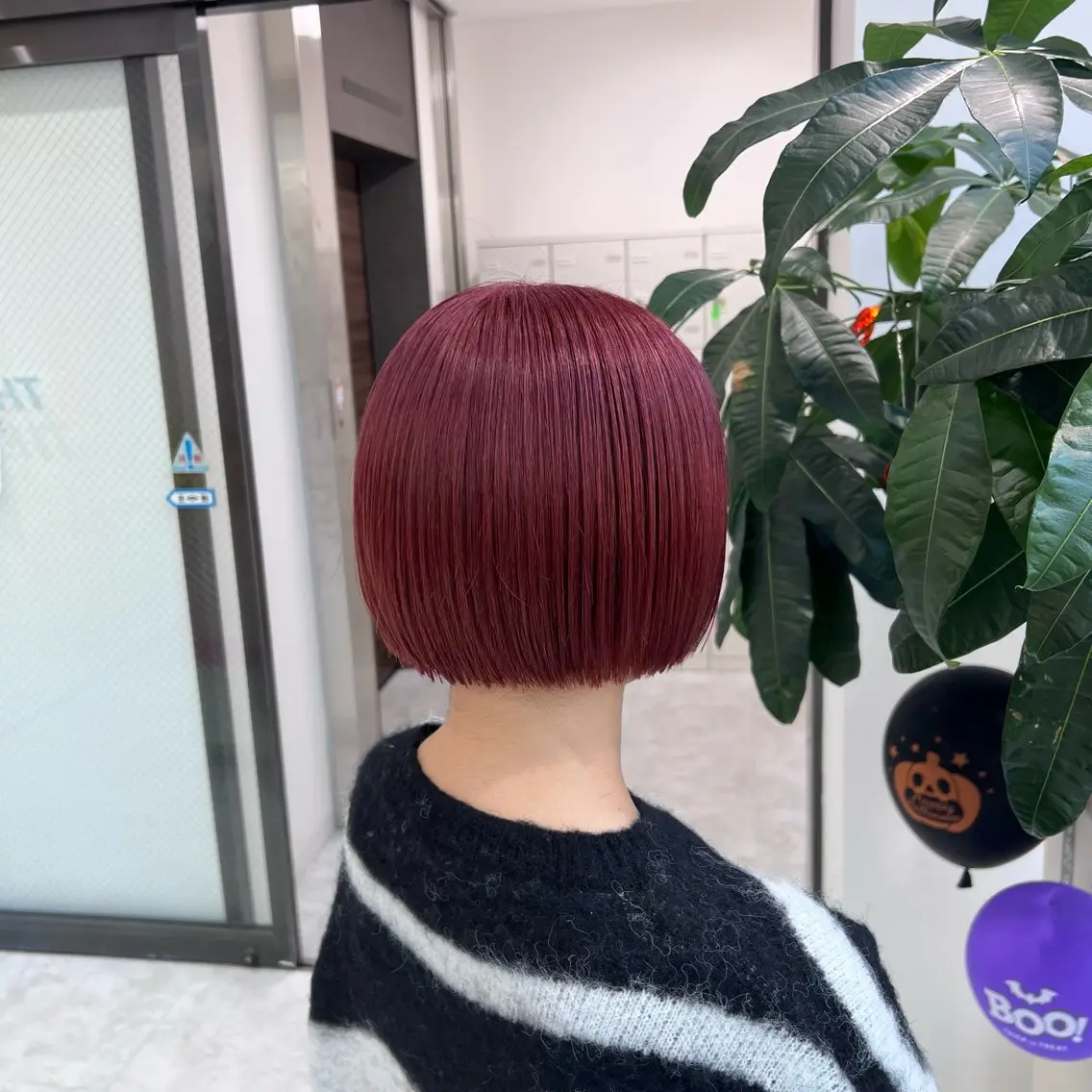 ショート ショートボブ ボブ ショートヘア カット ヘアカラー トリートメント 🫧レイヤーカット ・ハッシュ🫧龍星のヘアスタイル