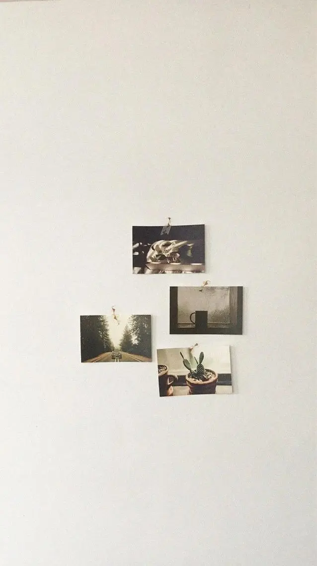 ・・の写真