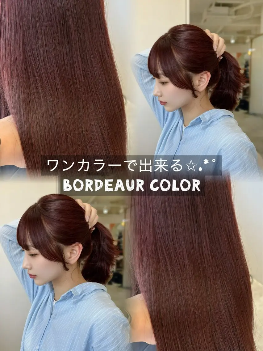 セミロング くびれヘア 卒業式のヘアスタイル 学生 韓国風ヘア レイヤーカット ヘアカラー トリートメント SeiRa☪️ 艶髪 / 透明感のヘアスタイル