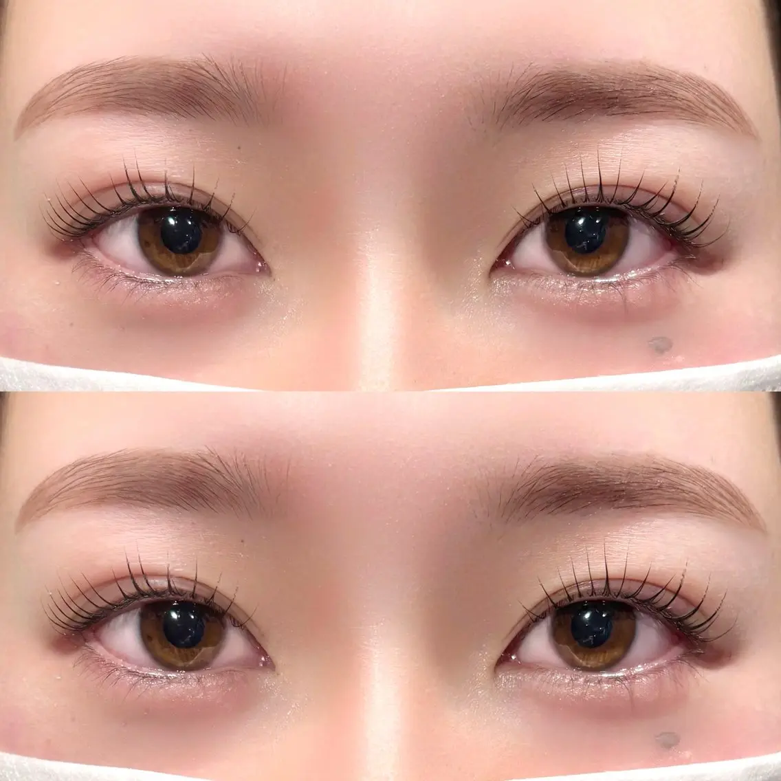 🎀美眉スタイリング＋パリジェンヌラッシュリフト🎀(マツパ変更可)の写真