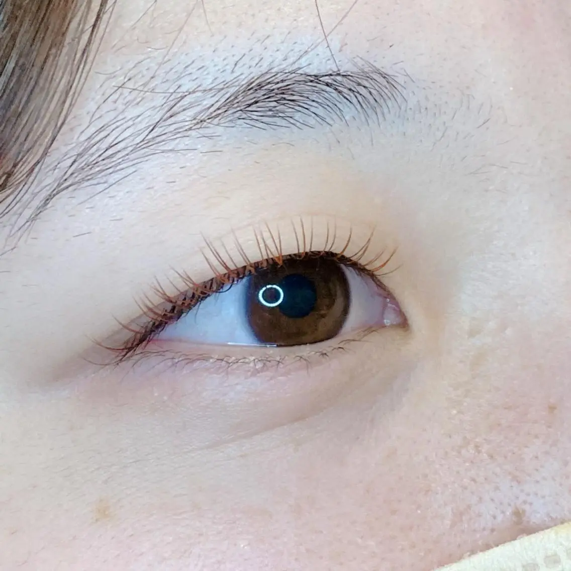 マツエク・マツパ Cカール カラーマツエク キュート フラットラッシュ マツエク tozone eye AYANOのマツエク・マツパデザイン