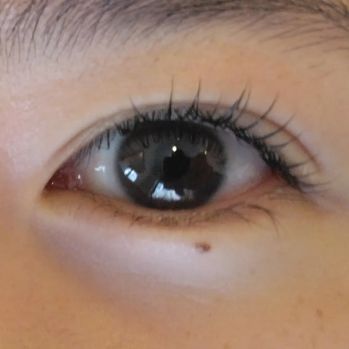 人気No.1✨自然体ヘルシーマツ毛パーマ✨の写真