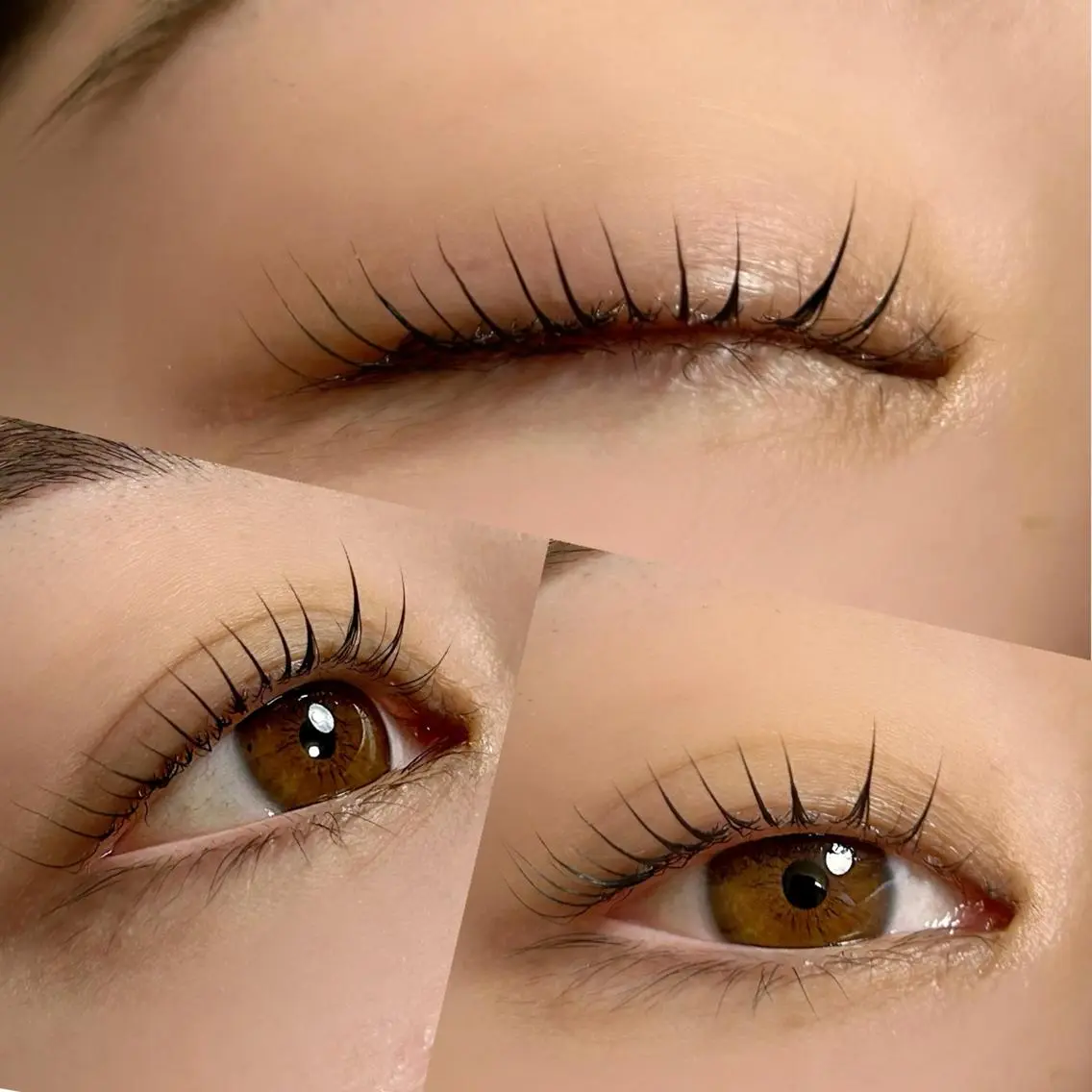 マツエク・マツパ マツパ lieu pré eyelashの眉毛・アイブロウイメージ