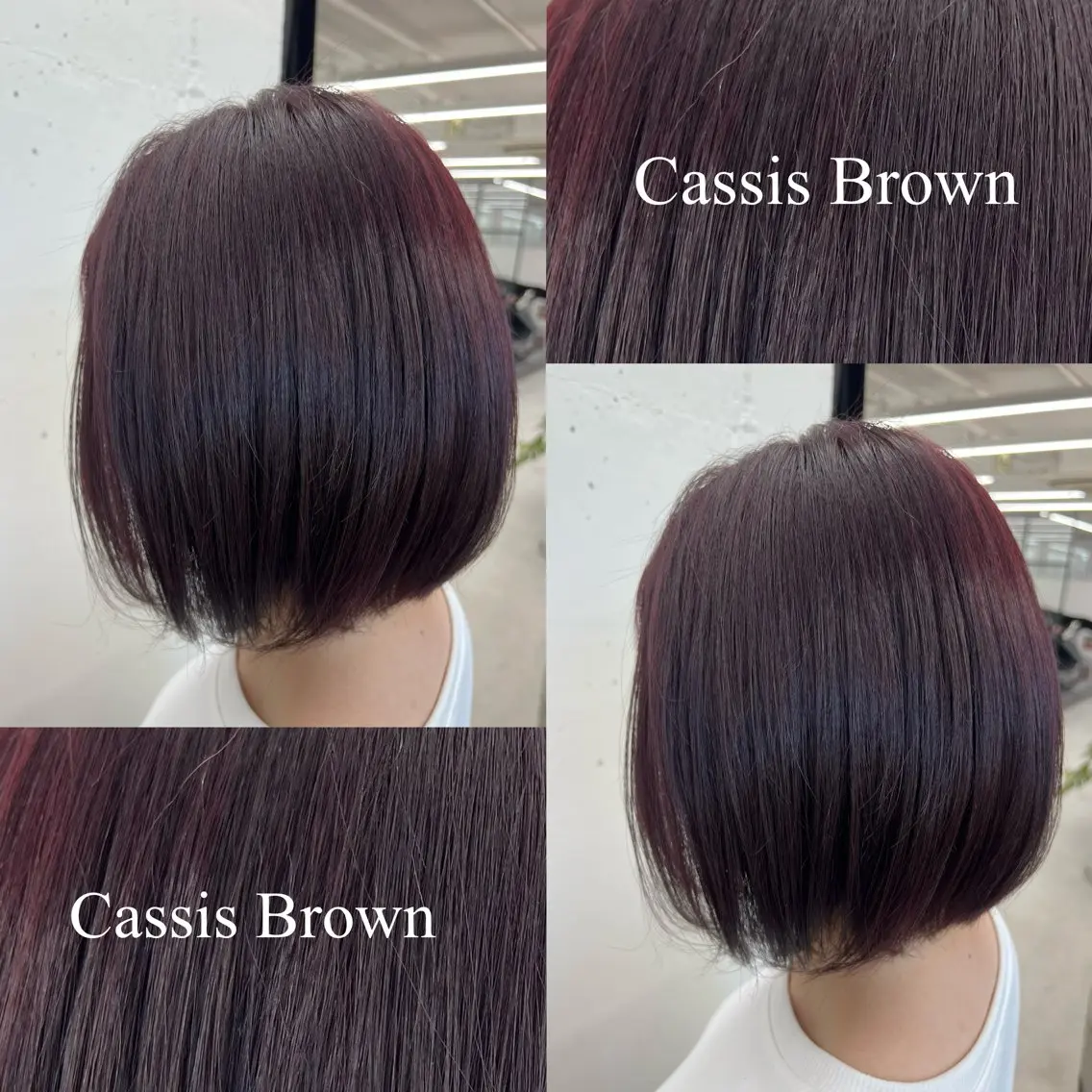 ミディアム カラー 黒髪 ブリーチ ボルドーカラー ブラウンカラー カシス 🌷︎あすか🌷 JILLSTUDIOのヘアスタイル