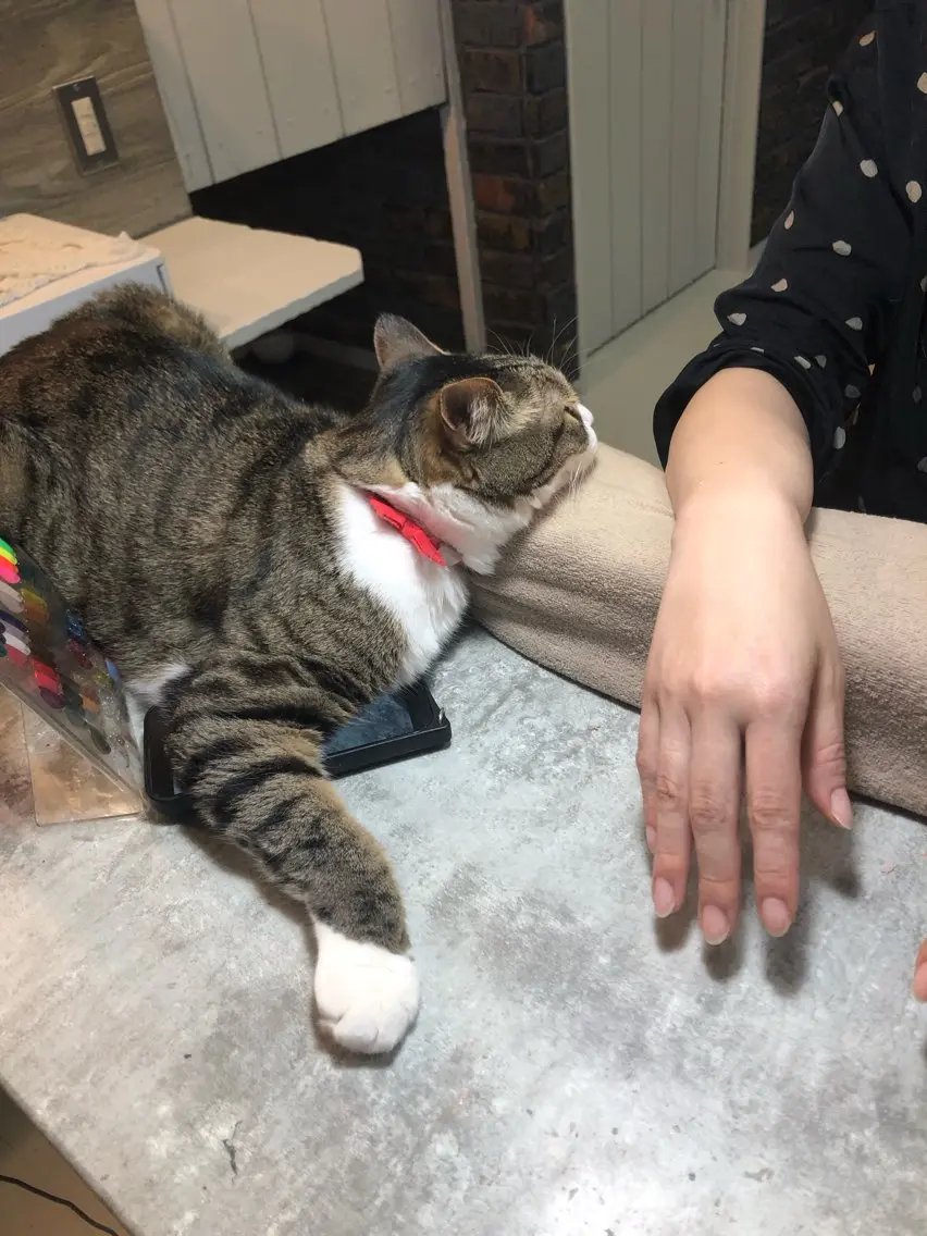 ネイル NAIL'S MODAのネイルデザイン