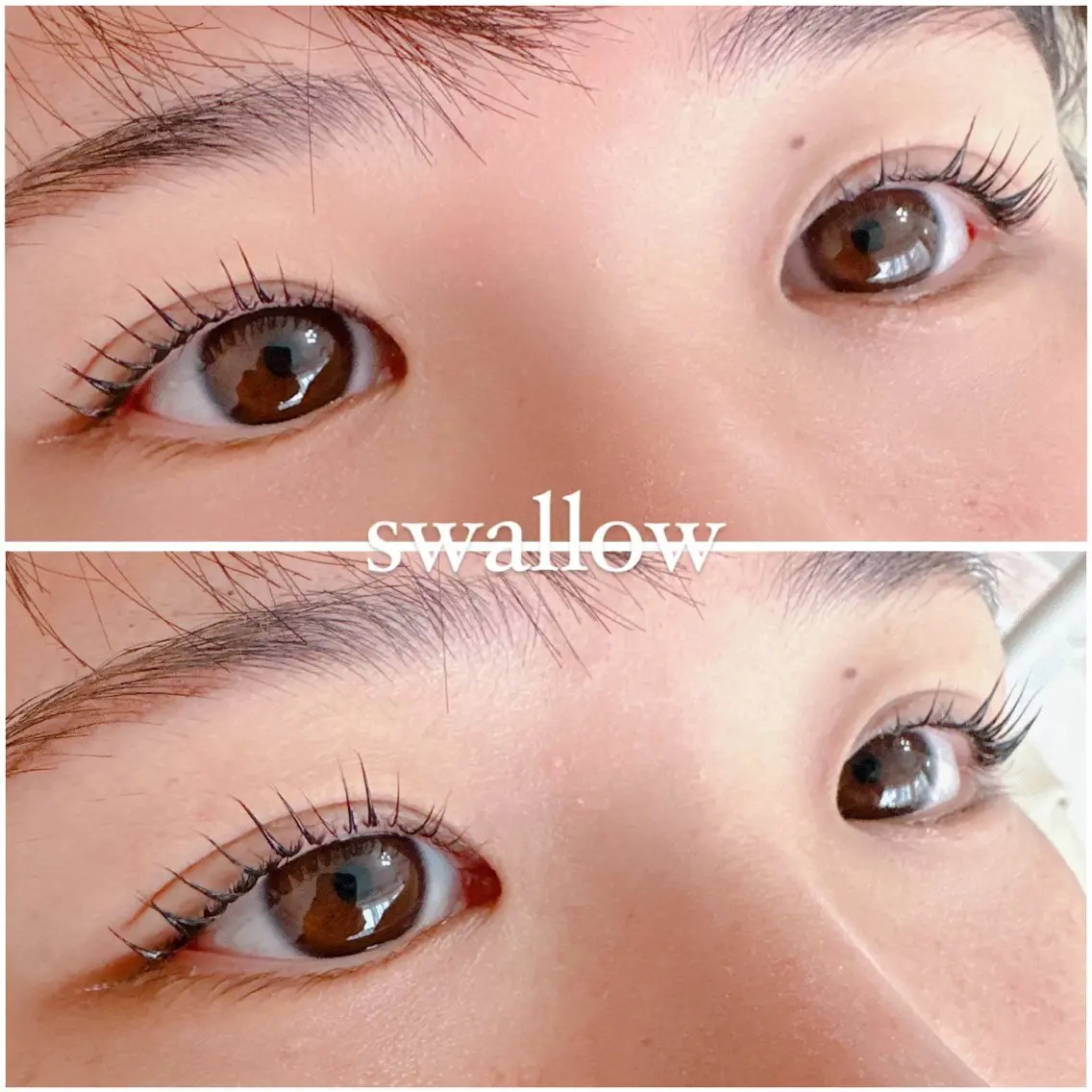 マツパ swallow 奈良西大寺店のマツエク・マツパデザイン