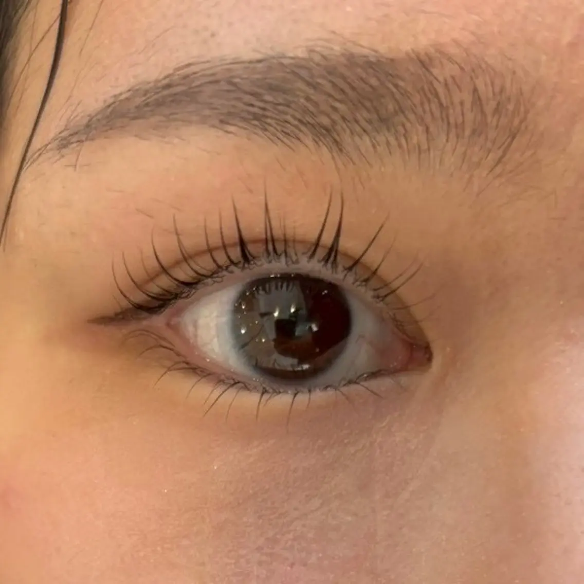マツエク・マツパ Daisy Lash 梅田店のマツエク・マツパデザイン