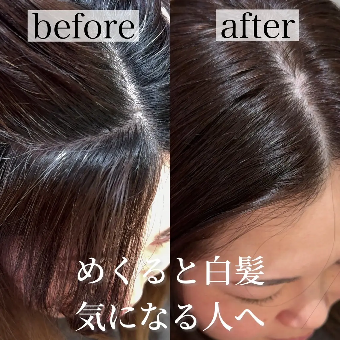 ショート カット ヘアカラー トリートメント 井上 一青 /ショート/ボブのヘアスタイル
