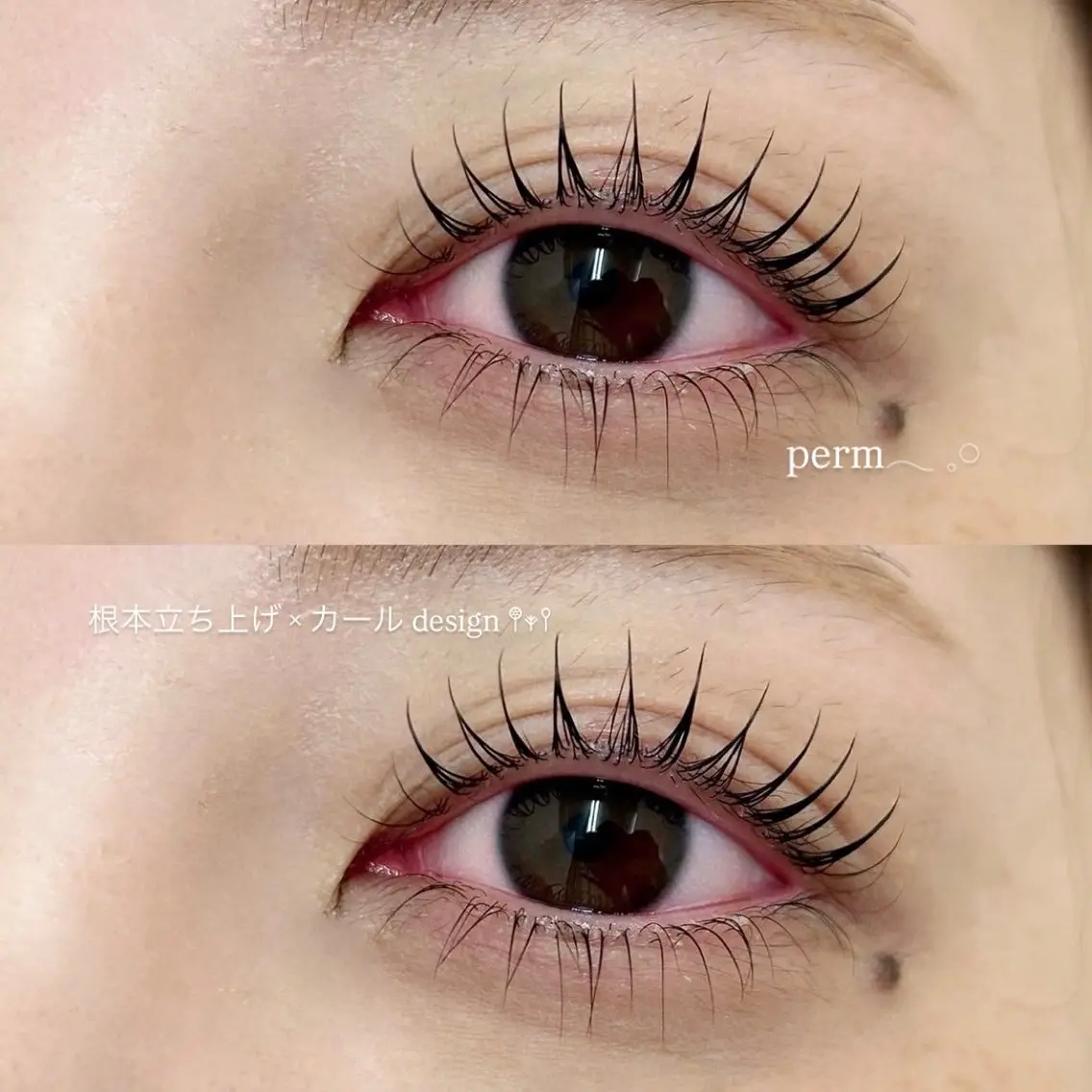 マツエク・マツパ 天王寺eyelash ﾌｳｶのマツエク・マツパデザイン