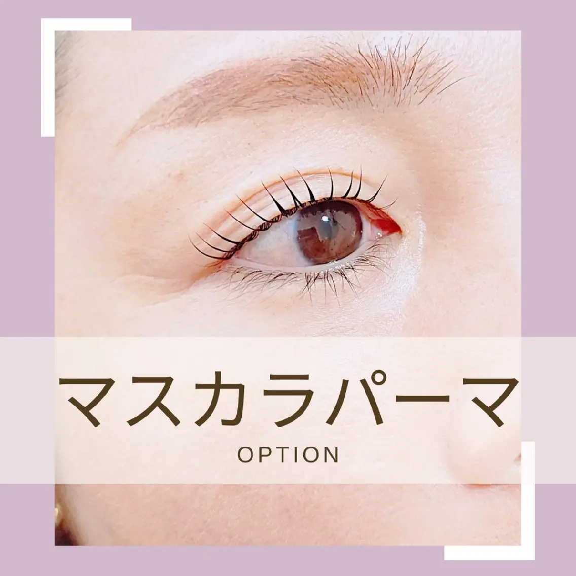 ✨【マスカラを塗ったような美まつ毛に】✨マスカラパーマの写真