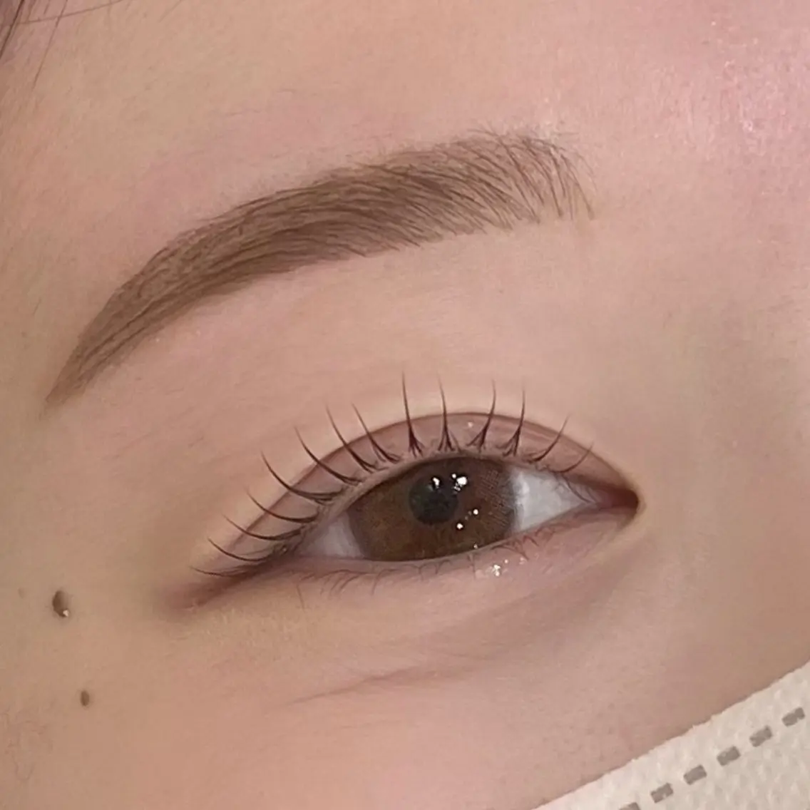 マツエク・マツパ people .の眉毛・アイブロウイメージ