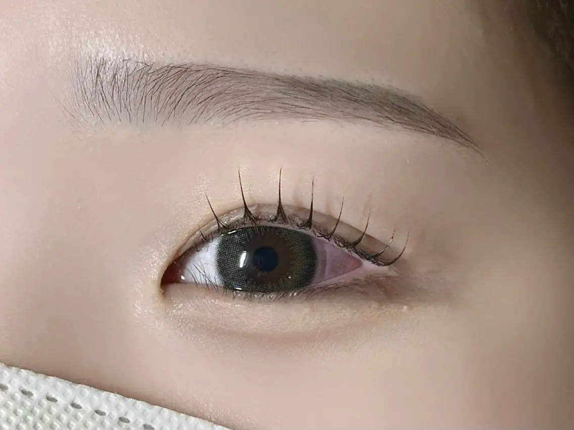 マツエク・マツパ パリジェンヌラッシュリフト 【MEPP】たにわき ゆうなの眉毛・アイブロウイメージ