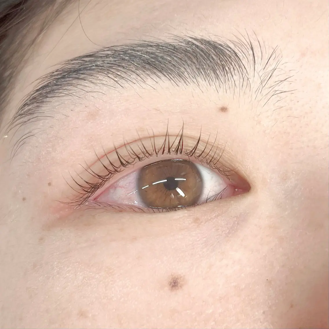 マツエク・マツパ ナチュラル eyelash / mizukiの眉毛・アイブロウイメージ