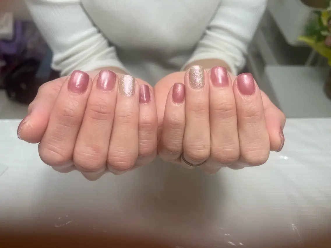 【オフあり】ワンカラー/マグネットの写真