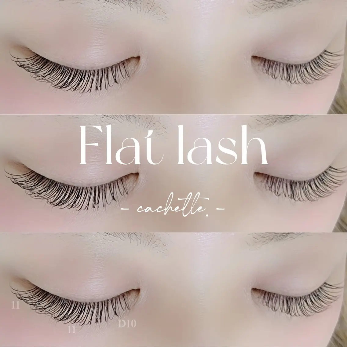 💖フラットラッシュ100本！の写真