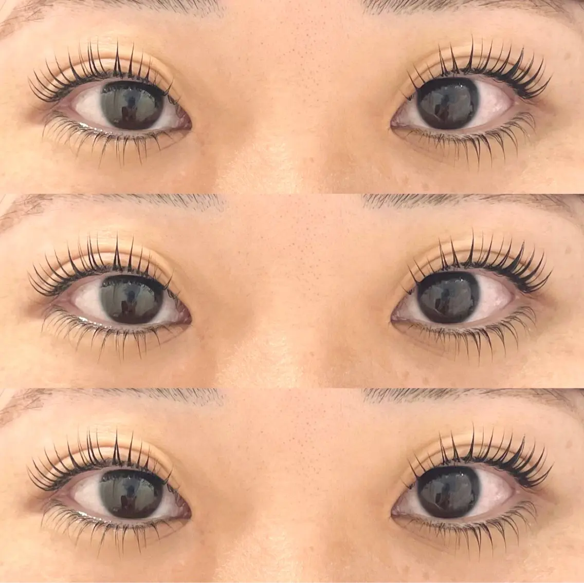 ✨🎀次世代まつ毛パーマ　上下🎀✨の写真