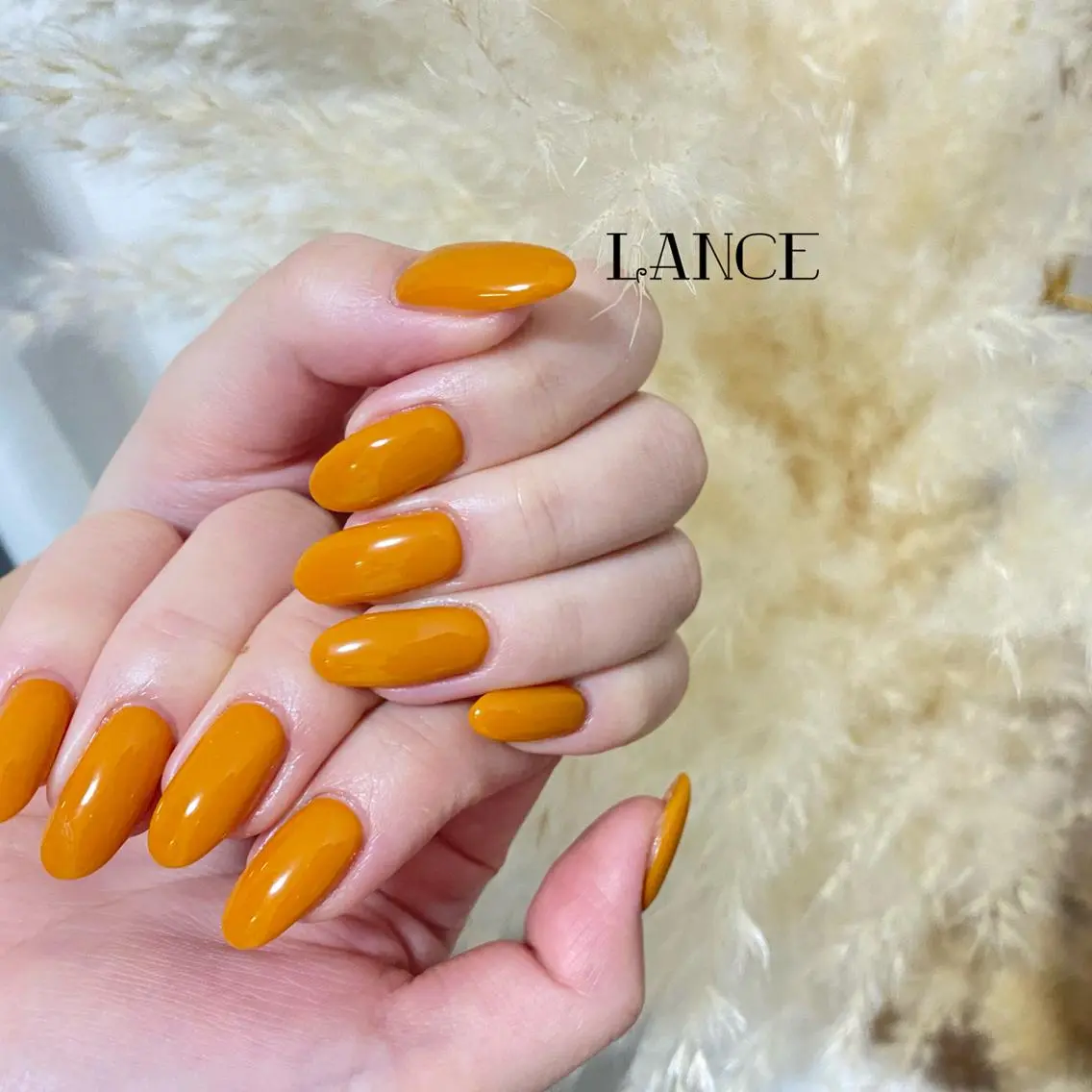 ミディアム ネイル オーロラネイル フレンチネイル ワンホンネイル 冬ネイル ハンドネイル Lance nailのネイルデザイン