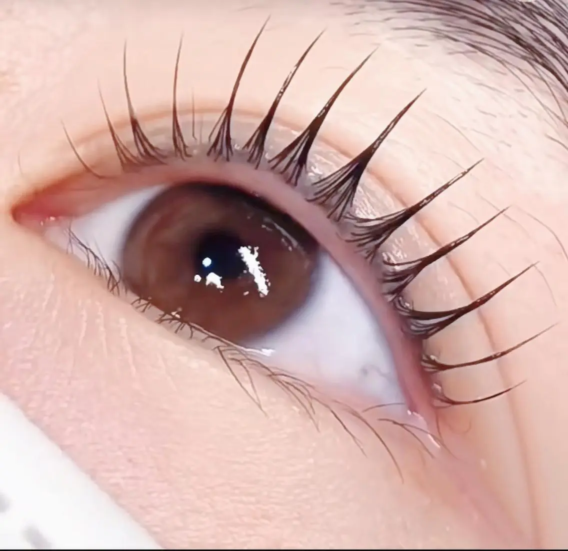 マツエク・マツパ ∩_∩アオイ eye lashのマツエク・マツパデザイン