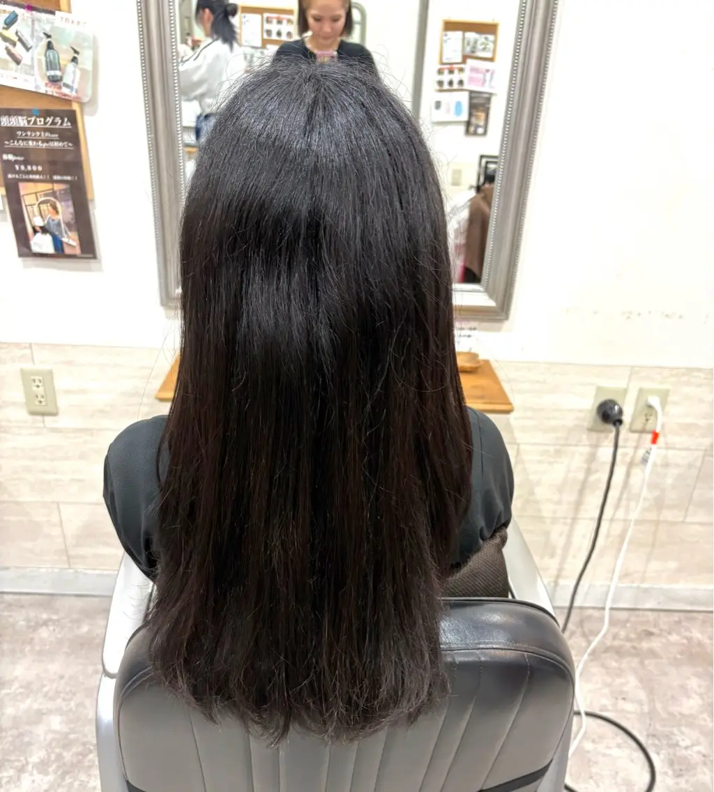 ロング 堀川 希歩のヘアスタイル