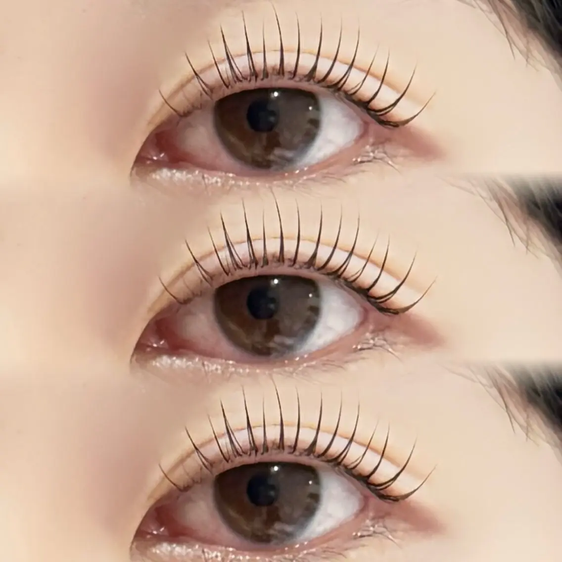 🎀9月ラッシュリフト🎀の写真