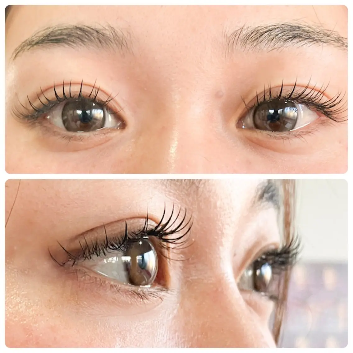 新規限定🌷LEDフラットラッシュ🌷60分付け放題🌷の写真