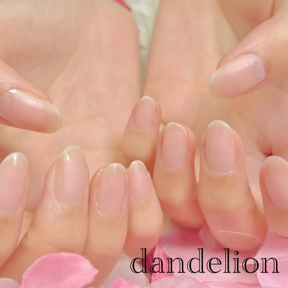 ネイル ハンドケア dandelion ダンデライオンのネイルデザイン