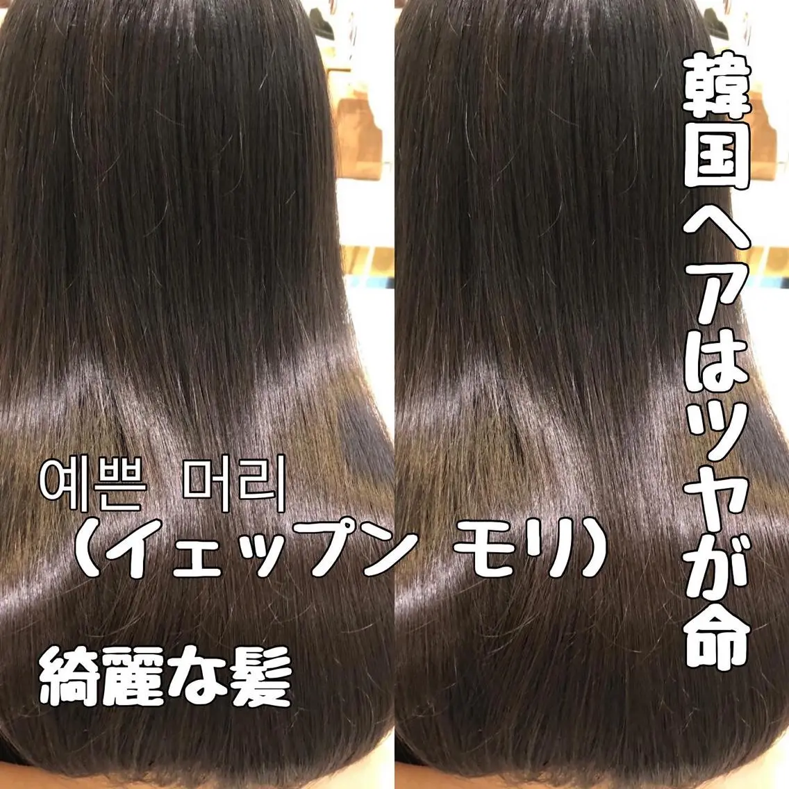 カラー パーマ カット トリートメント 渋谷レイヤーカット❌ 縮毛矯正専門/武田涼のヘアスタイル