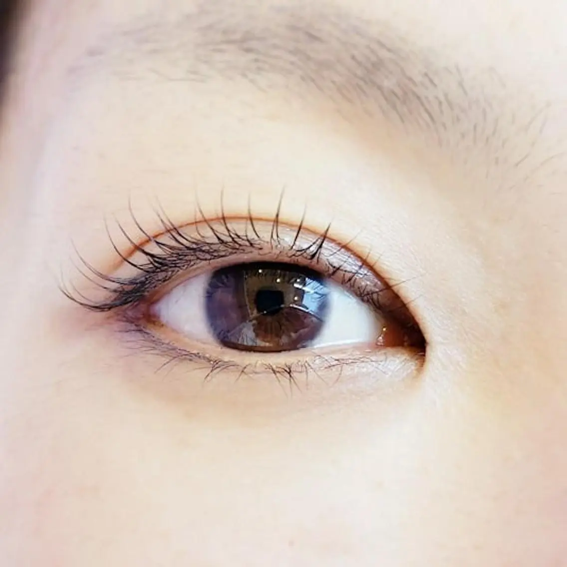 マツエク・マツパ ナチュラル 一重×まつ毛パーマ マツパ ｉ-ｌａｓｈ ～アイラッシュ～のマツエク・マツパデザイン