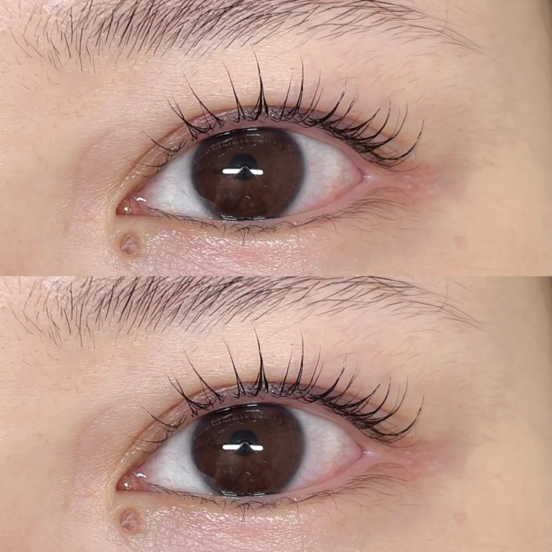 マツエク・マツパ マツパ Cutil . eyelash 🍊のマツエク・マツパデザイン