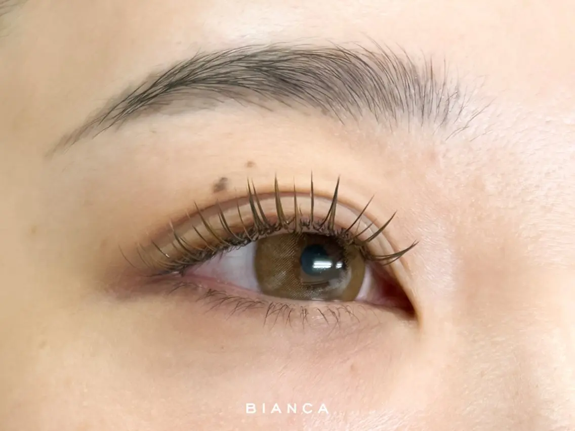 マツエク・マツパ Bianca大宮店 店長KIKUCHIの眉毛・アイブロウイメージ
