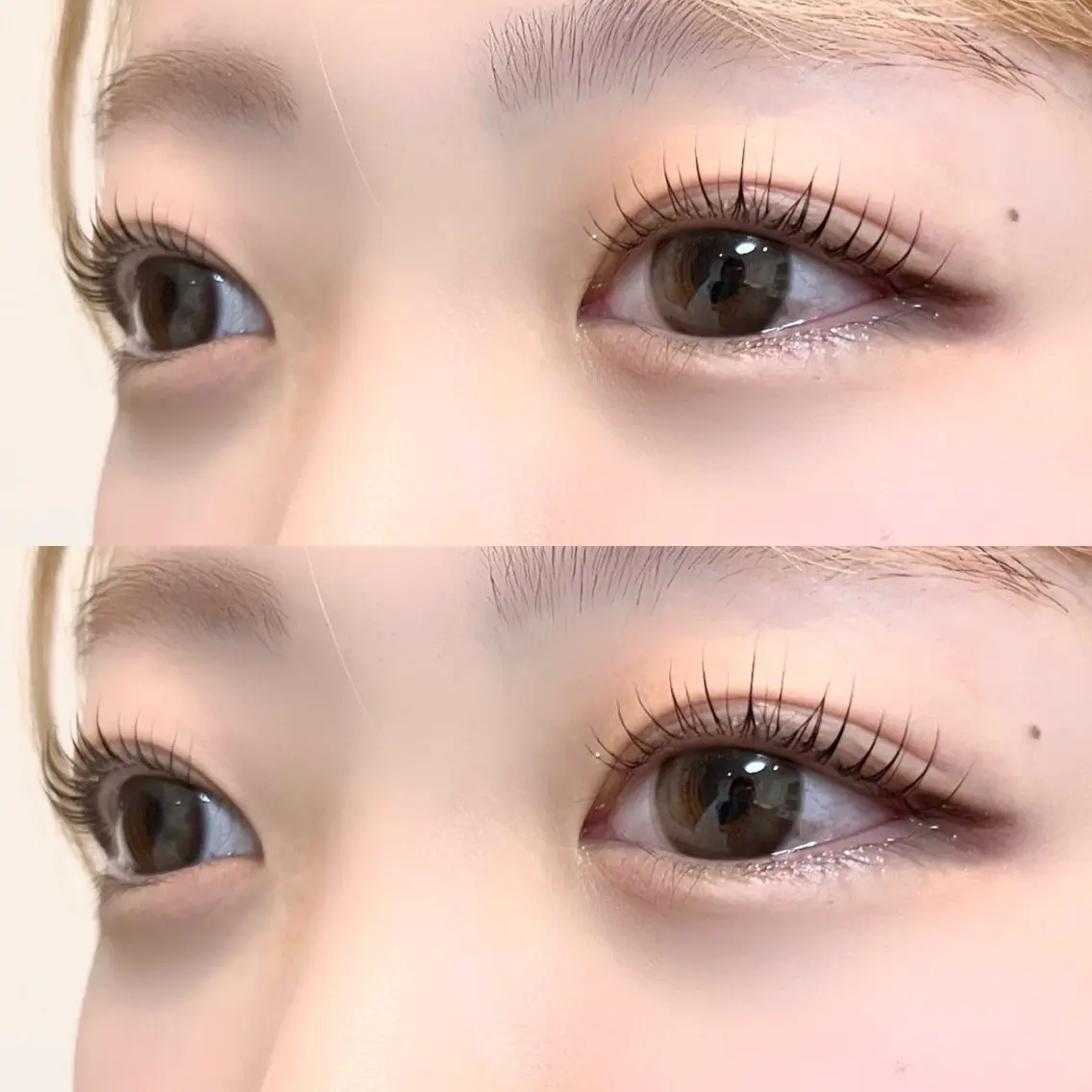 マツエク・マツパ マツパ 🦋平林 未莉🦋✨のマツエク・マツパデザイン