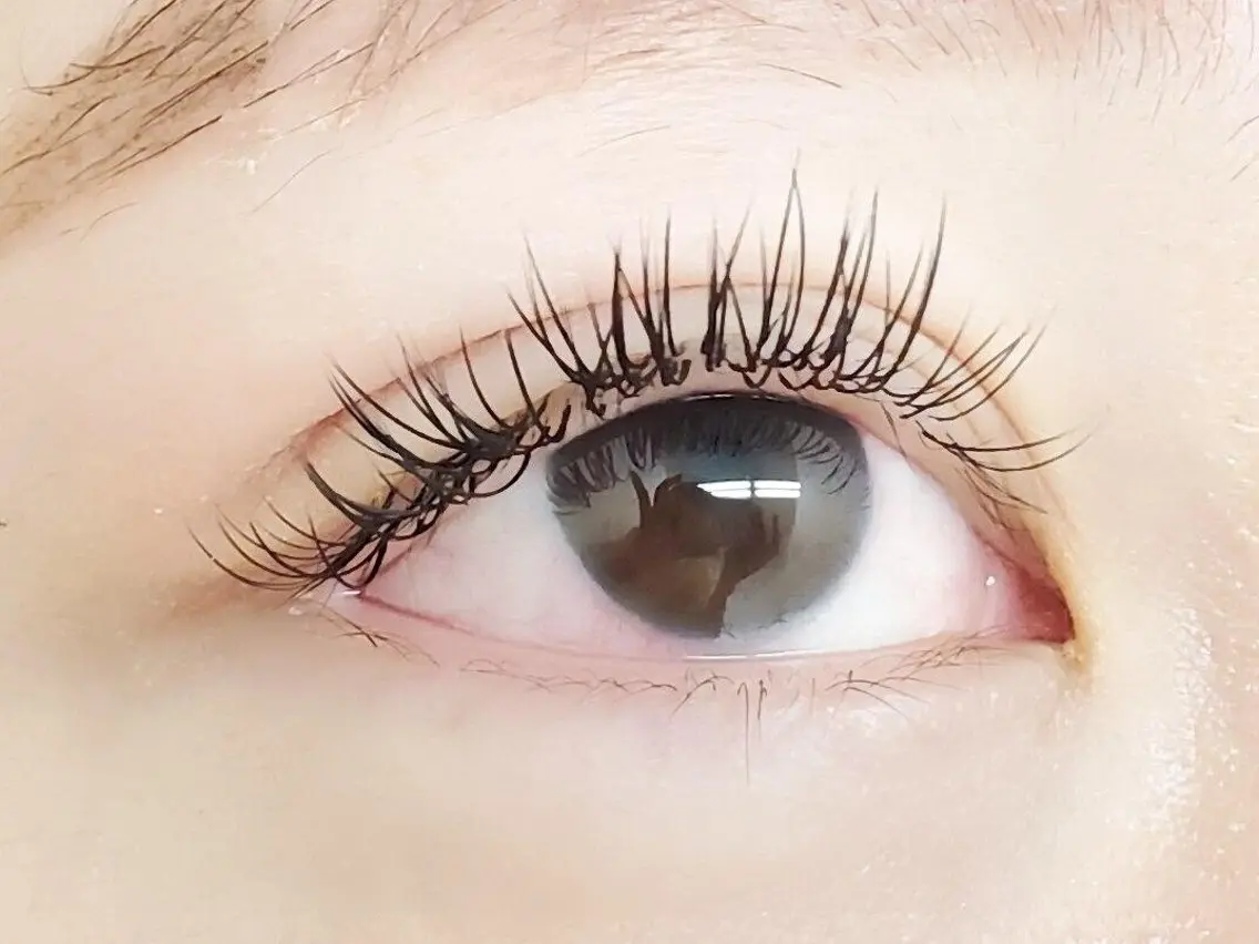 🌼フラットマットラッシュ80本🌼の写真