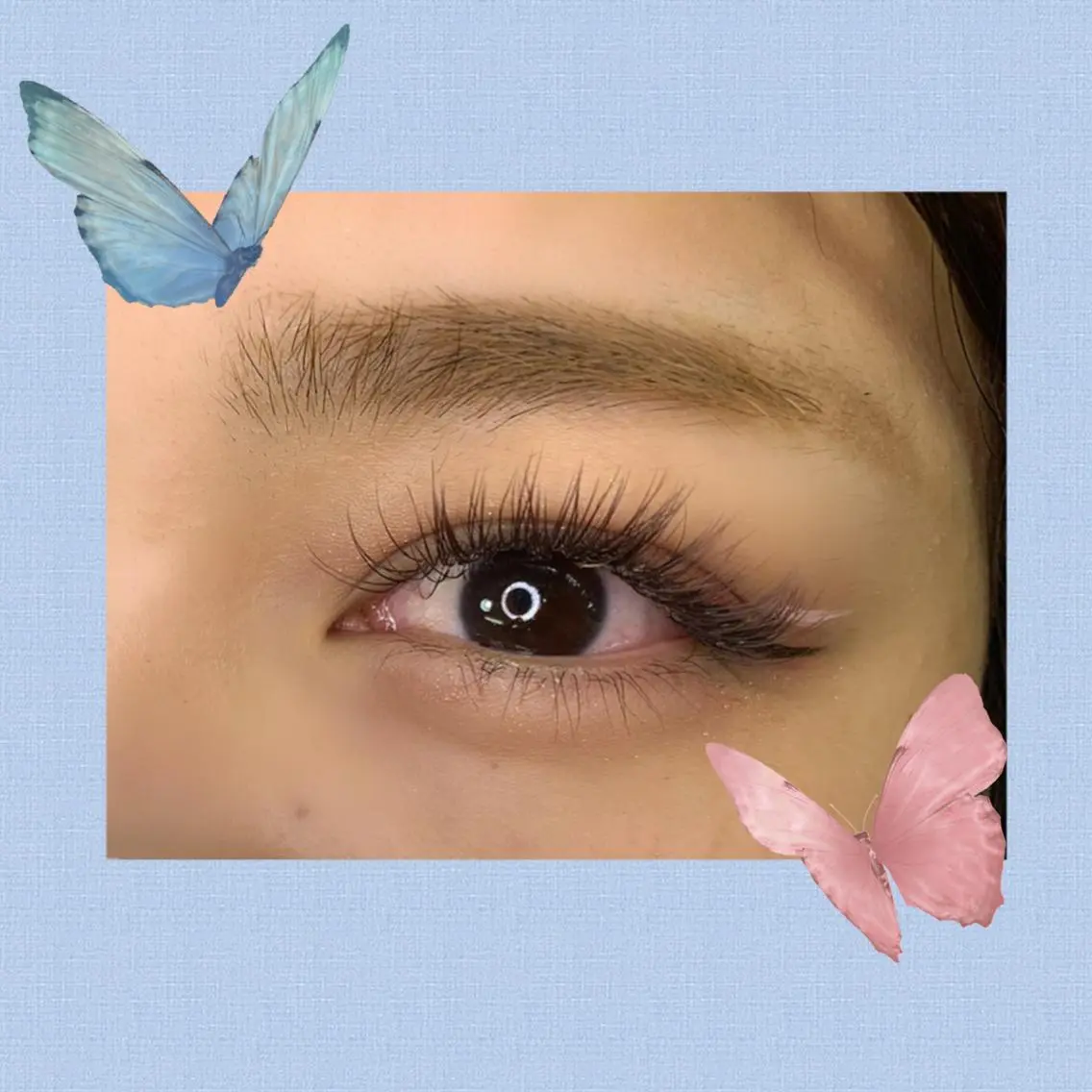 マツエク・マツパ カラーマツエク ナチュラル Eye beauty JADOREのマツエク・マツパデザイン