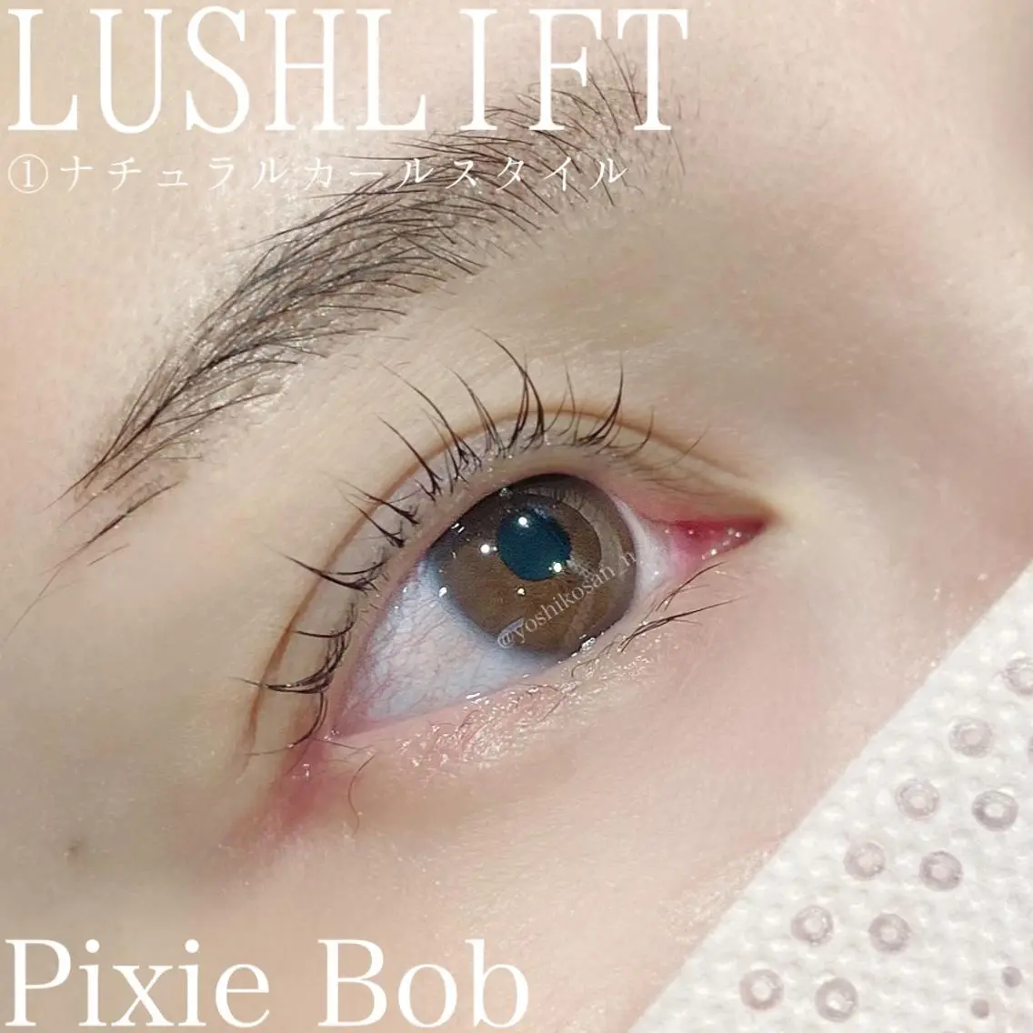 マツエク・マツパ ナチュラル Pixie Bob 🐈‍⬛　位田のマツエク・マツパデザイン