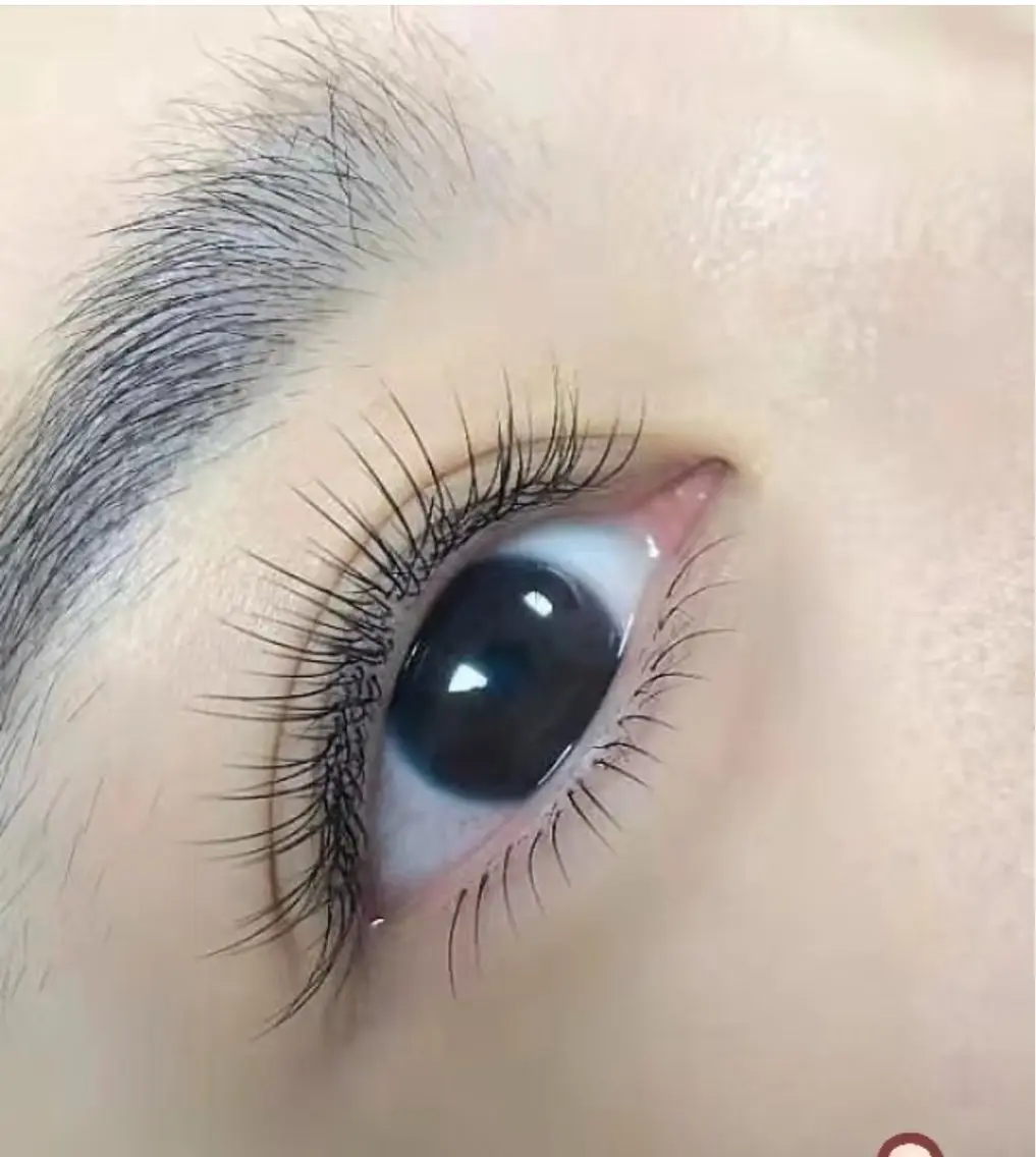 フラットラッシュ120の写真