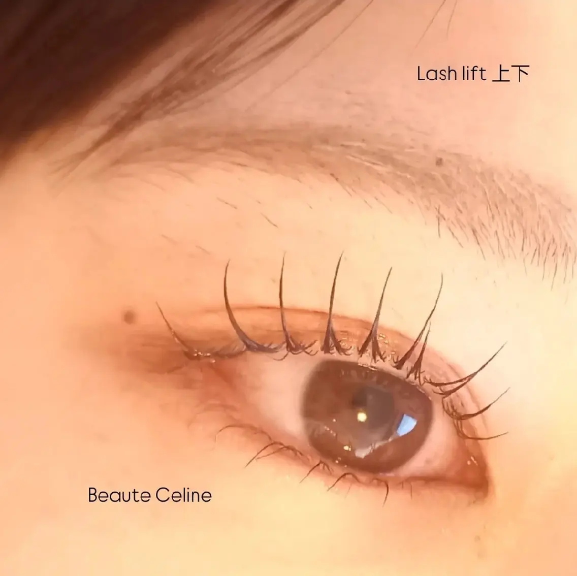 マツエク・マツパ マツパ LED✨beaute Celine🌛🌹のマツエク・マツパデザイン