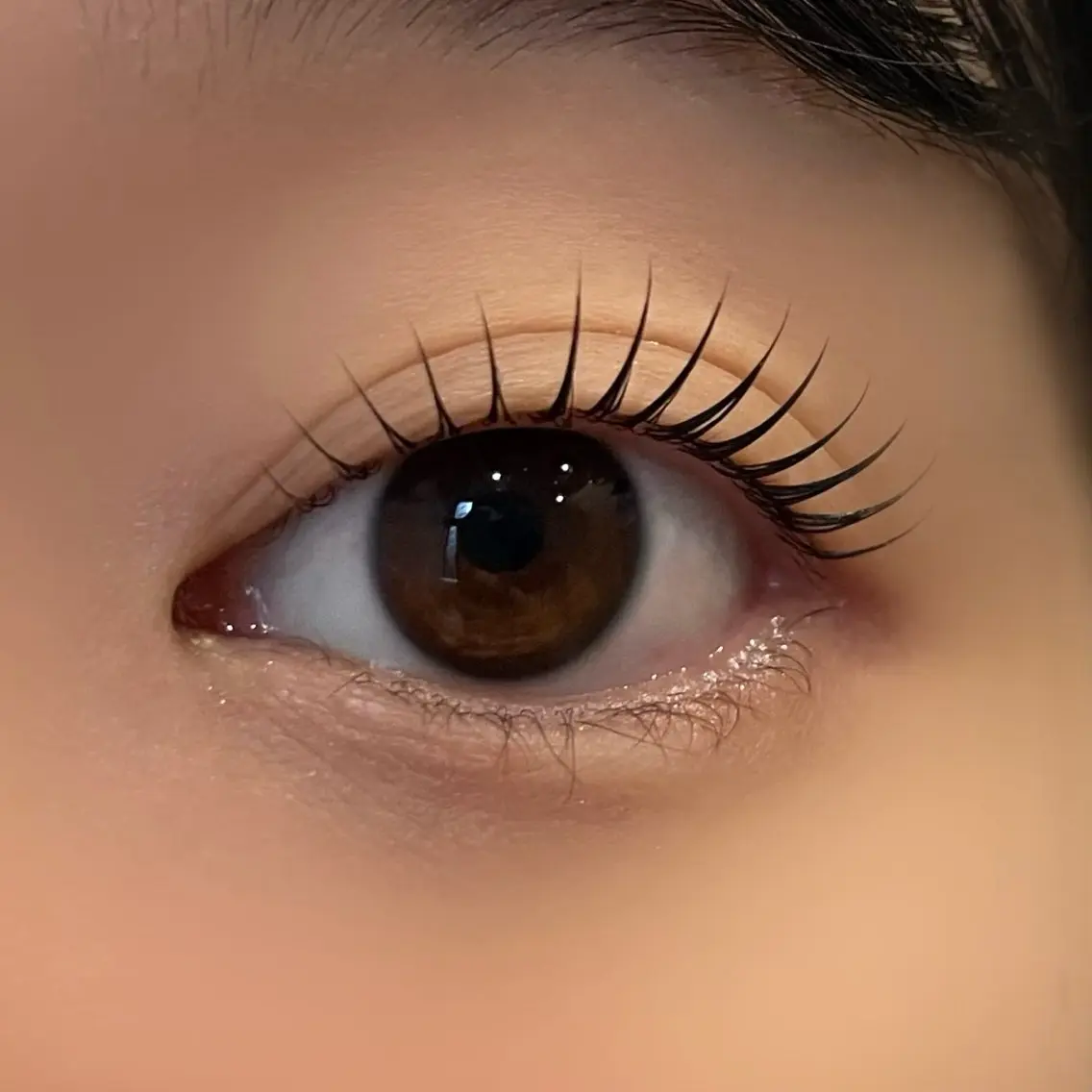 マツエク・マツパ ナチュラル 一重×まつ毛パーマ マツパ 眉毛/まつ毛/中目黒 Voir.のマツエク・マツパデザイン