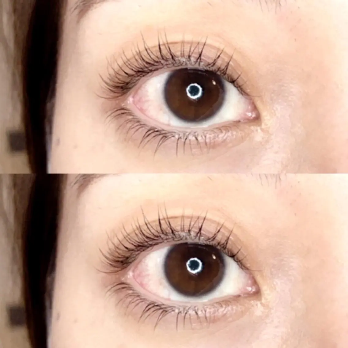 マツエク・マツパ 《eyelash ｉｉｔｅ》森のマツエク・マツパデザイン