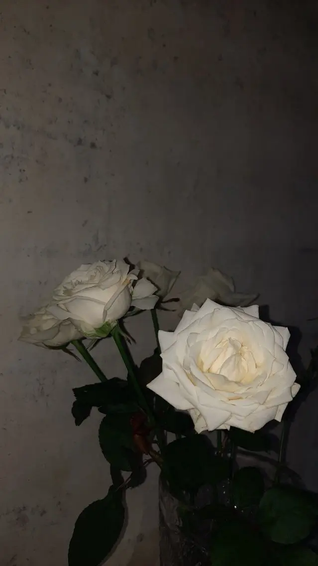 【練習】ソフトジェルオフのみの写真