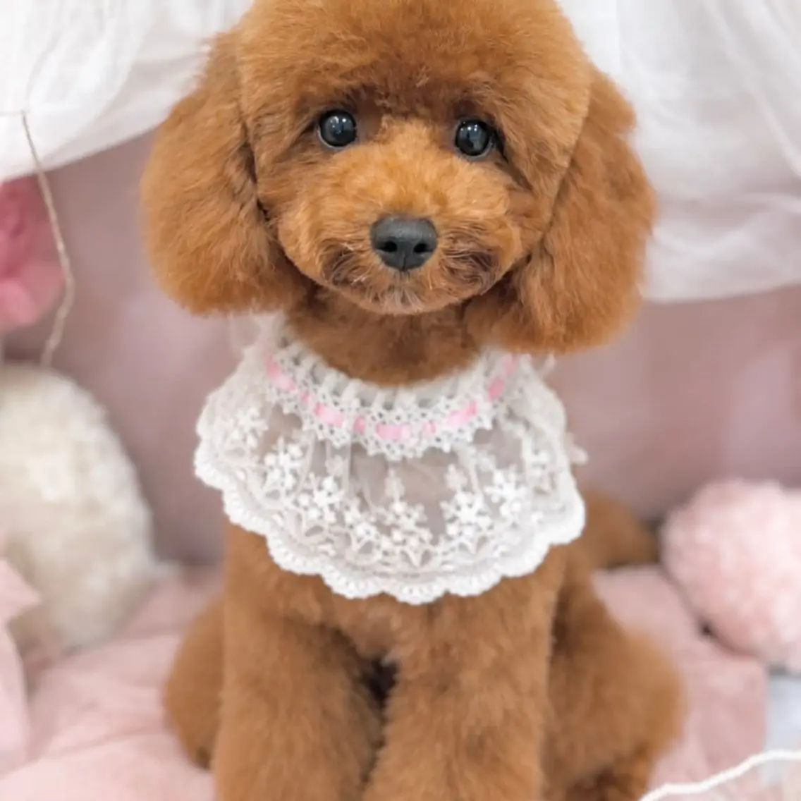 ネイル その他 Uchida Mayunaのその他イメージ