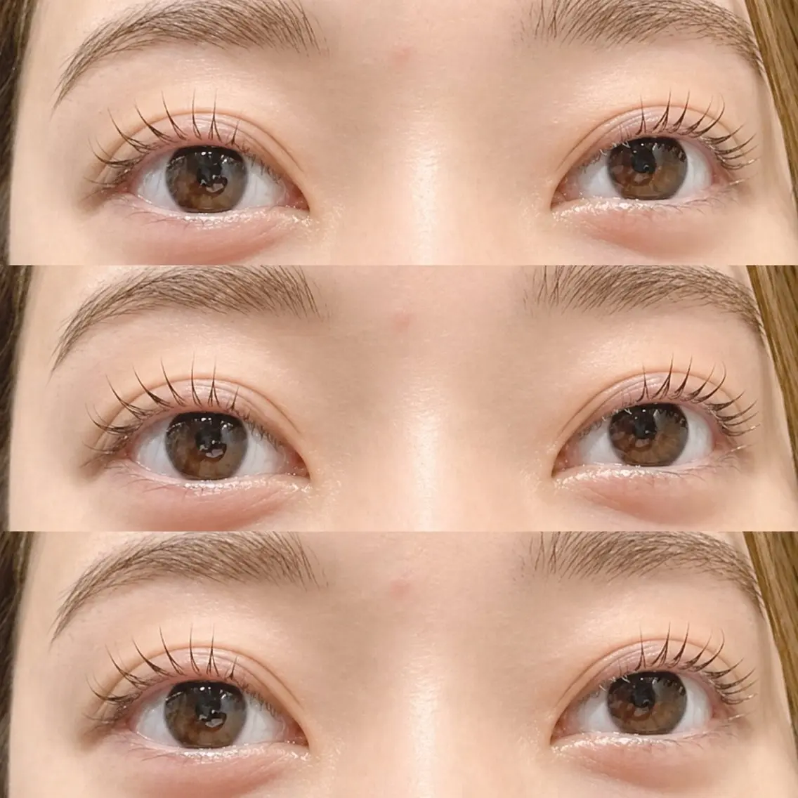 ご新規様限定🩷パリジェンヌラッシュリフト🌸 【コーティング仕上げ】の写真
