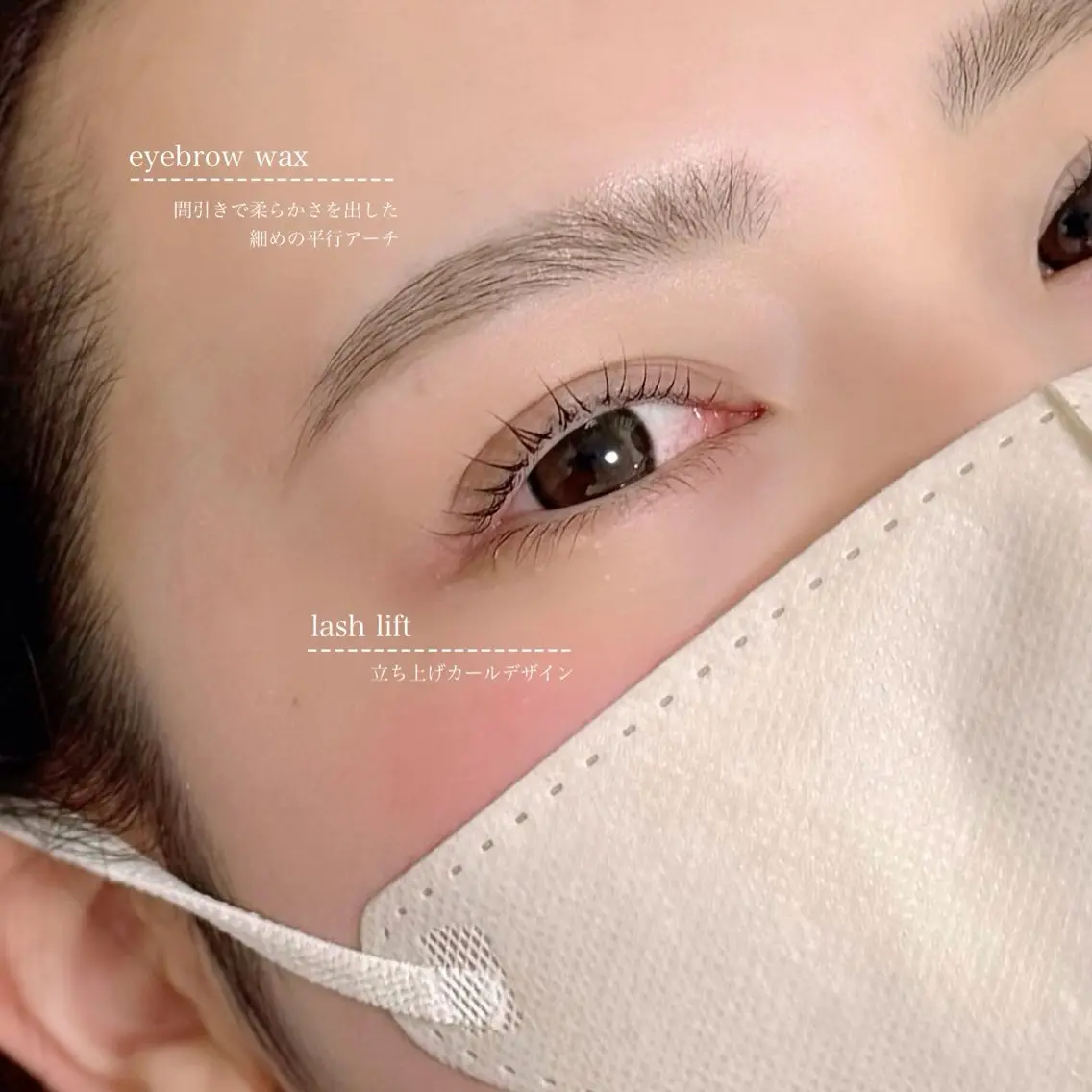 アイブロウ iplus まつげ、眉毛、耳つぼの眉毛・アイブロウイメージ