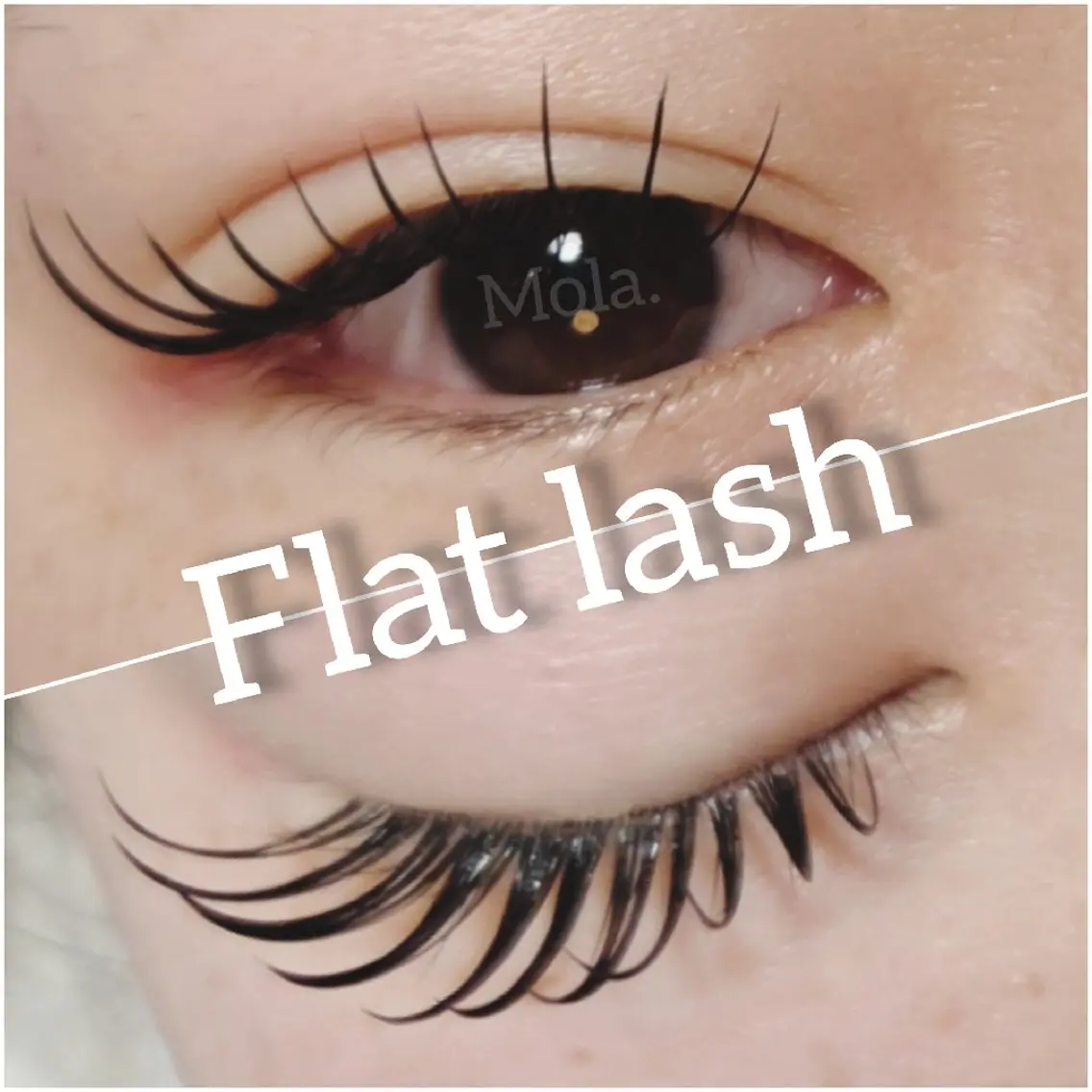 マツエク・マツパ マツエク 【Mola.】 eyelashのマツエク・マツパデザイン