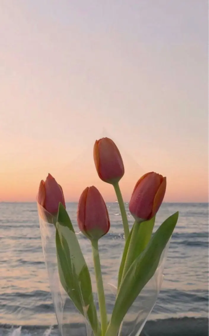 ❤️🔥ミニモ限定❤️🔥大人気ラッシュリフト+ホームケア用まつげコーティング剤セット💄の写真