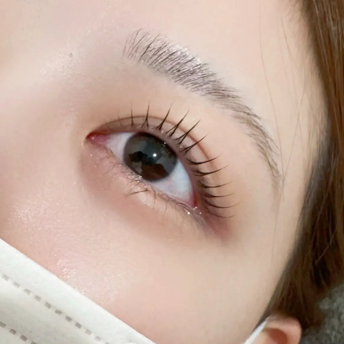【10/1 11時、12時 限定】まつげパーマ👀技術チェックモデルの写真