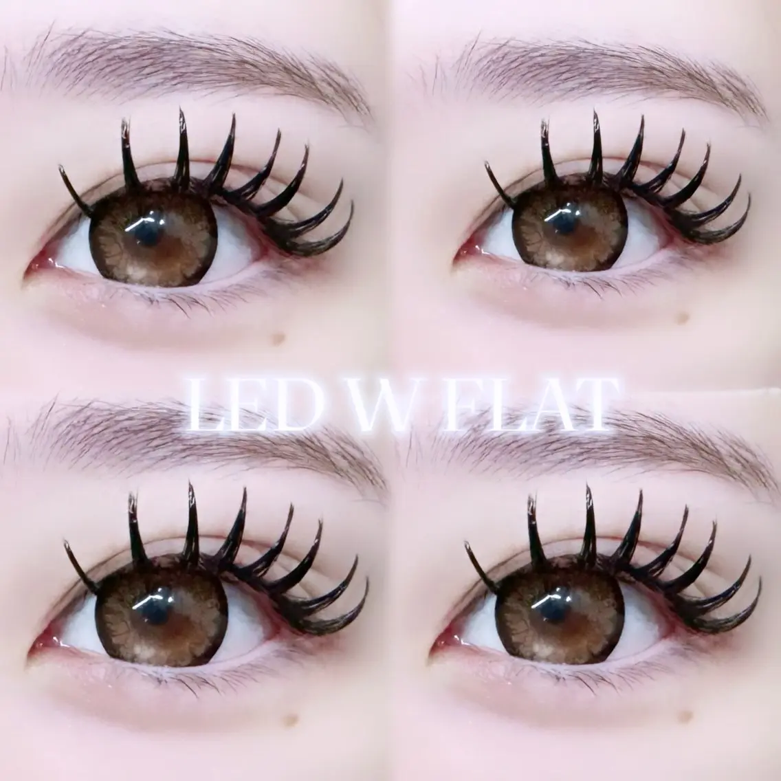 🪽LED Wフラット120束 コーティング付きの写真